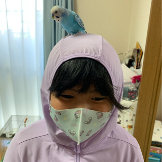 インコが怖いけど好き