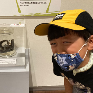 ハンター展でヘビを見てキモい…