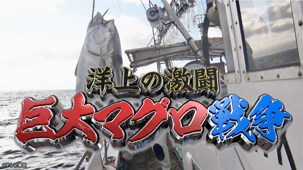 巨大マグロ戦争2025【今朝まで取材！デタ！？初競り一番マグロ争奪戦】