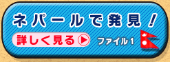 ファイル1：ネパール