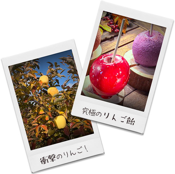 極上フルーツ図鑑 Tvo テレビ大阪