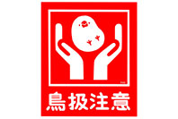 イラストレーターとき 写真