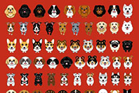 ABCDOGS 写真