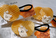 O-Hana 写真