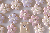 Lilou cookie 写真