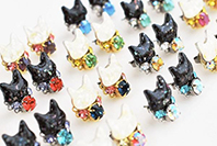 星猫工房 写真