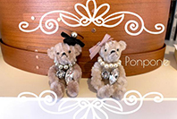 Ponpone 写真