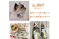 U_ANY 写真
