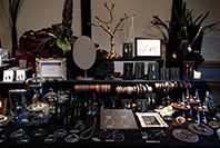 フェルミナータ 写真