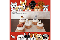ABCDOGS 写真