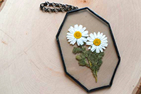 stilla vatten 写真