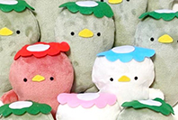 *pure* きゅうりの里 写真