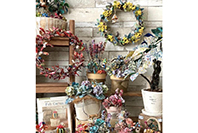 創作園藝課＋fabric plants ambassador 写真