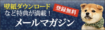 壁紙ダウンロードなど特典が満載！メールマガジン(登録無料)