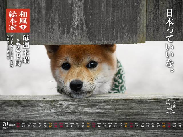 すべての美しい花の画像 最高かつ最も包括的なiphone 柴犬 まる 壁紙