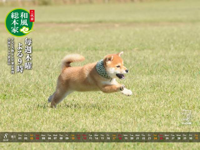 ここからダウンロード 和風 総 本家 壁紙 無料のhd壁紙 Joskabegami ここからダウンロード 和風 総 本家 壁紙 無料のhd壁紙 Joskabegami
