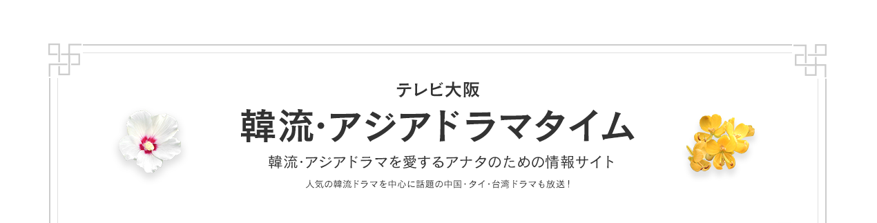 テレビ大阪　韓流・アジアドラマタイム