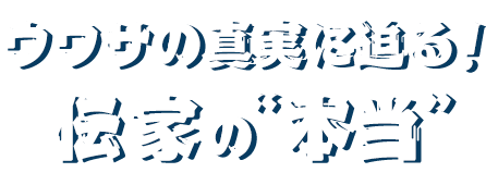 ウワサの真実に迫る！伝家の“本当