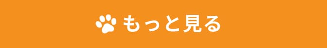 もっと見る