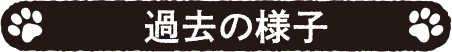 過去の様子