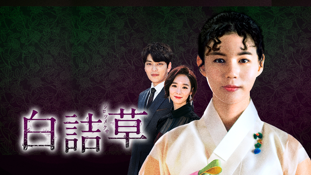 白詰草<シロツメクサ> | これまでの放送 | TVO テレビ大阪 白詰草<シロツメクサ> | これまでの放送 | TVO テレビ大阪