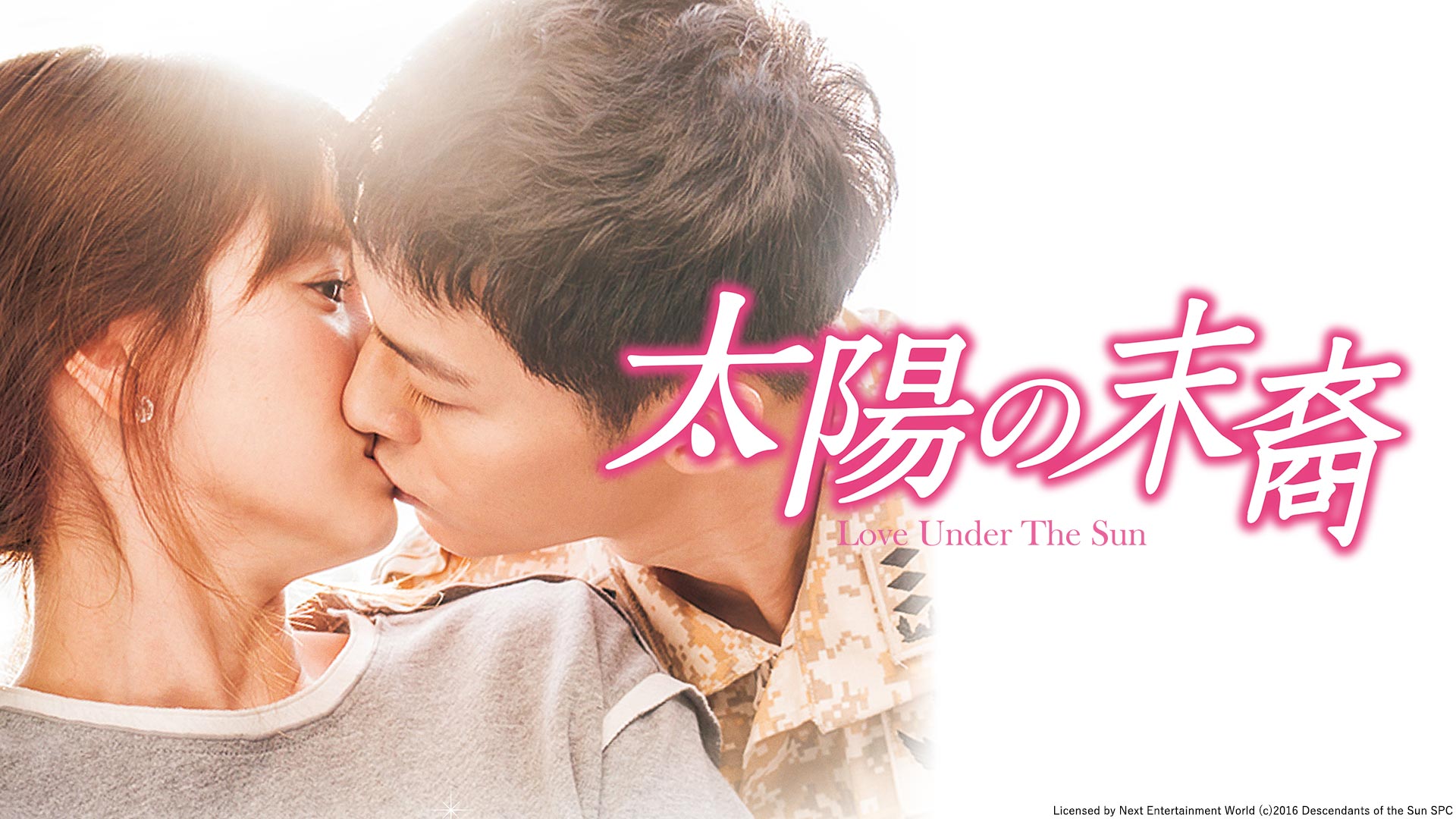 太陽の末裔 | TVO テレビ大阪