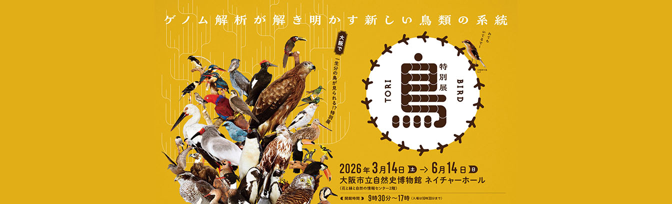TVO テレビ大阪 | イベント