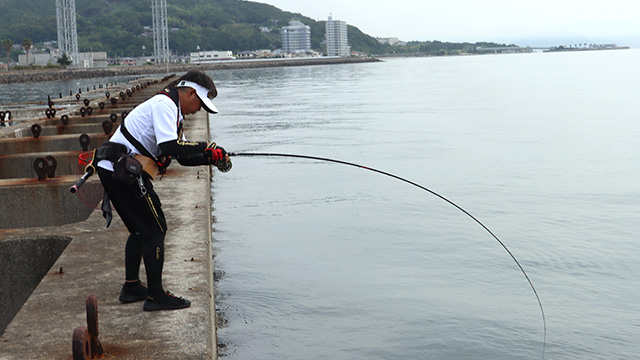 がまかつ・がまチヌ ヘチさぐり 銀参郎Ｈ300
