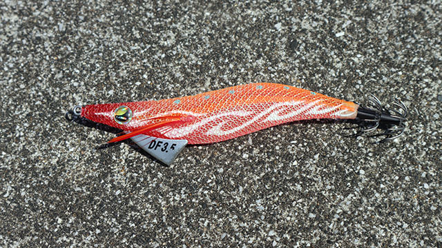 LUXXE・エヴォリッジ