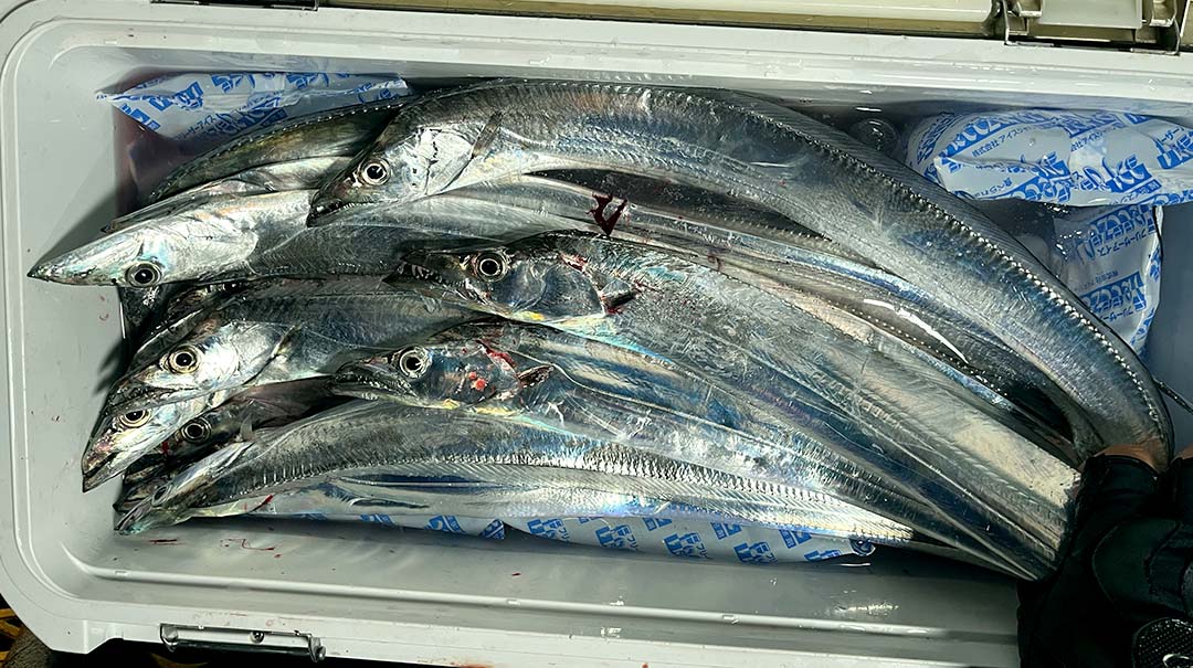タチウオ