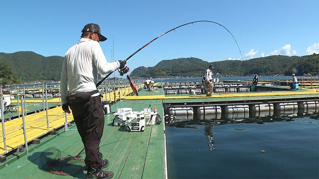 海上釣堀アルティメイトスペック