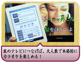 �Ƃ̃e���r�ɂȂ��΁A��l���Ŗ{�i�I�ɃJ���I�P���y���߂�I