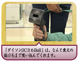 「ダイソンDC３６Ball」は、なんと愛犬の抜け毛まで吸い込んでくれます。