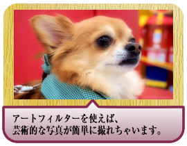 アートフィルターを使えば、芸術的な写真が簡単に撮れちゃいます。