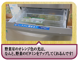 野菜室のオレンジ色の光は、<br>なんと、野菜のビタミンをアップしてくれるんです！