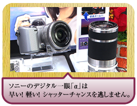 ソニーのデジタル一眼「α」は早い！ 軽い！ シャッターチャンスを逃しません。