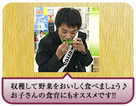 収穫して野菜をおいしく食べましょう♪お子さんの食育にもオススメです！！