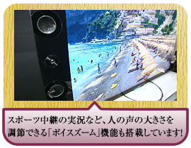 スポーツ中継の実況など、人の声の大きさを調節できる「ボイスズーム」機能も搭載しています！