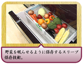 野菜を眠らせるように保存するスリープ保存技術。　 炭酸ガスを生成し野菜の呼吸を抑え鮮度や栄養素を守ってくれます。