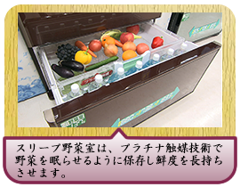 スリープ野菜室は、プラチナ触媒技術で野菜を眠らせるように保存し鮮度を長持ちさせます。