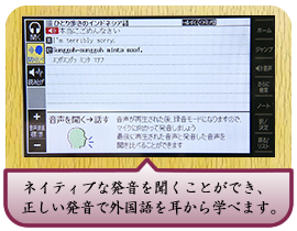 ネイティブな発音を聞くことができ、正しい発音で外国語を耳から学べます。