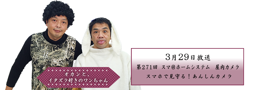 スマ＠ホームシステム　屋内カメラ