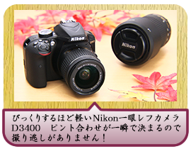 びっくりするほど軽いNikon一眼レフカメラD3400　ピント合わせが一瞬で決まるので撮り逃しがありません！