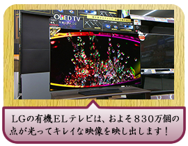 ＬＧの有機ＥＬテレビは、およそ８３０万個の点が光ってキレイな映像を映し出します！