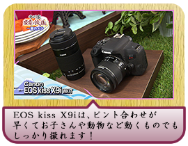 EOS kiss X9iは、ピント合わせが早くて お子さんや動物など動くものでもしっかり撮れます！