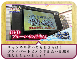 チャンネル争いともおさらば！ プライベートビエラで 見たい番組を独占しちゃいましょう