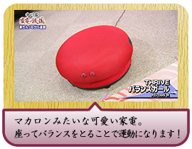 マカロンみたいな可愛い家電。 座ってバランスをとることで運動になります！