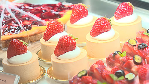 photo1