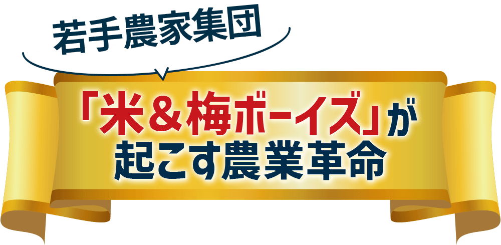 belt_title