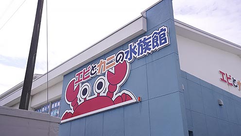 photo1